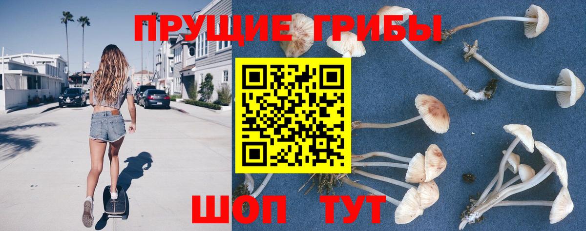 Псилоцибиновые грибы Cubensis  Вход с VPN  Алатырь 